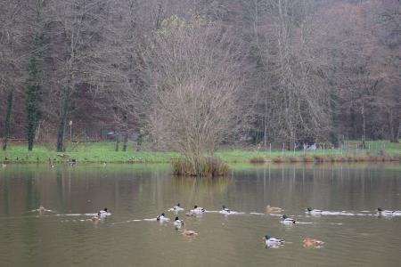 Pohod DU Mirna, foto A Janezic (9)